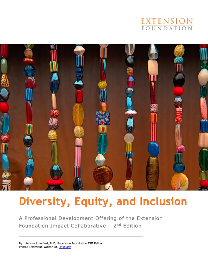 Diversity, Equity, and Inclusion 2nd Edition